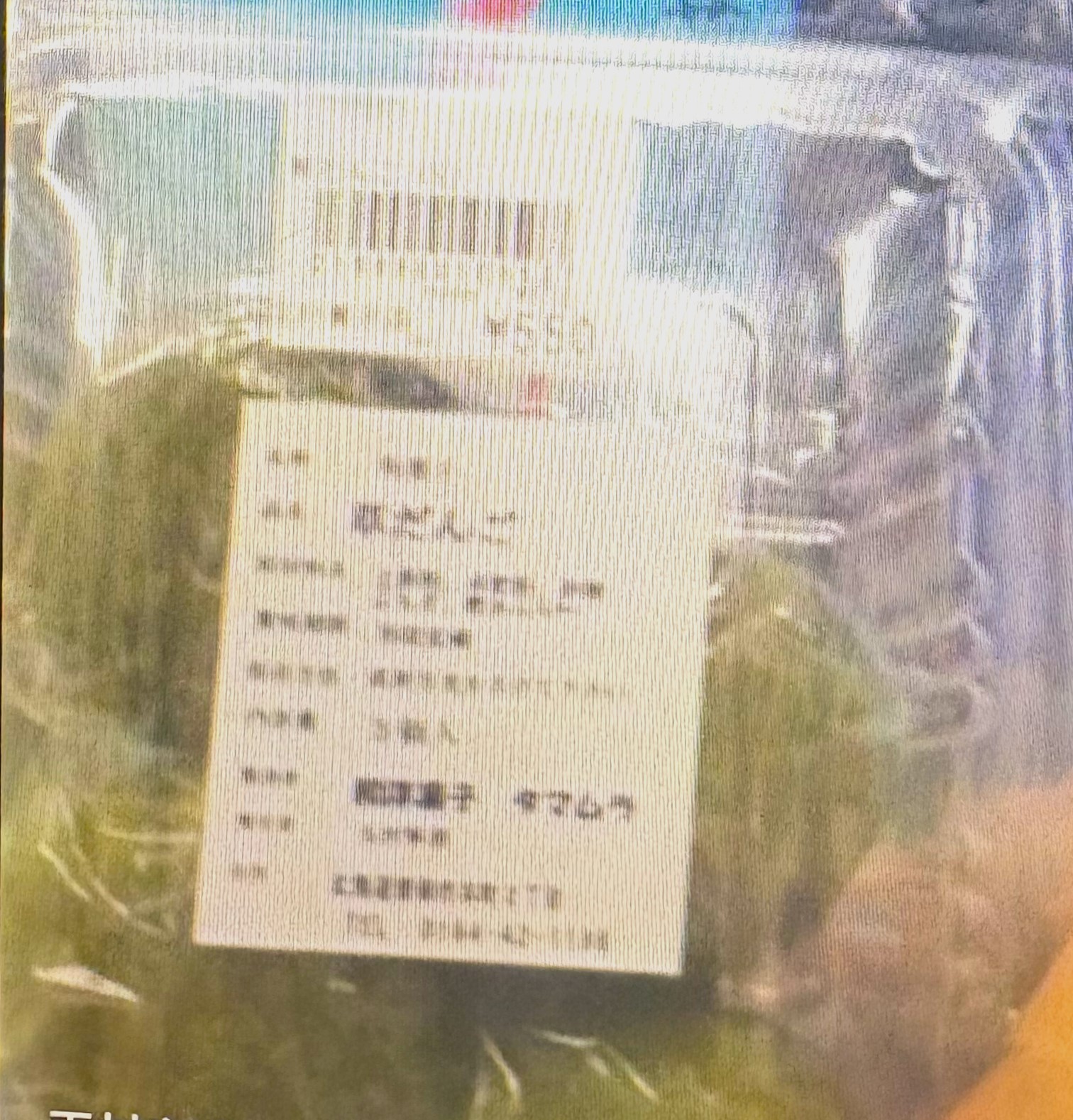 草団子
